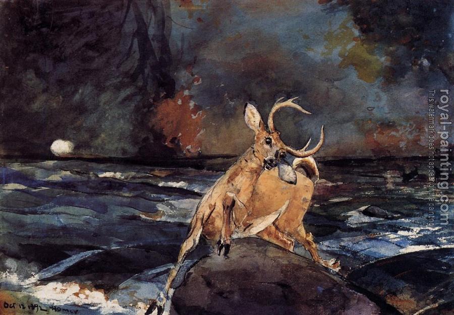 Winslow Homer : A Good Shot, Adirondacks